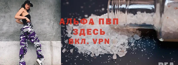 спиды Аркадак
