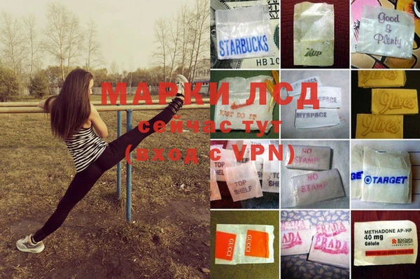 крисы Арсеньев