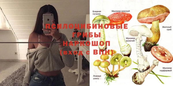 крисы Арсеньев
