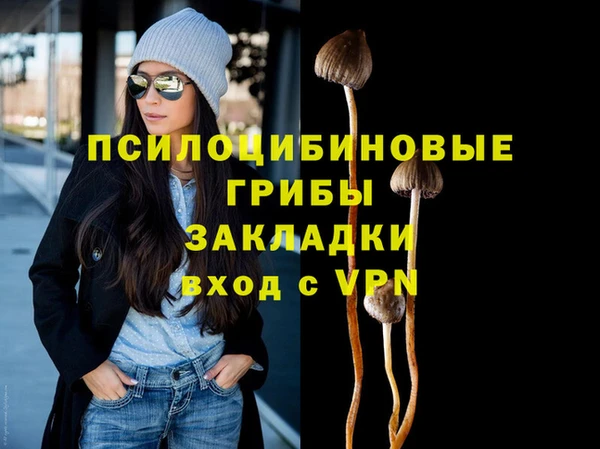 крисы Арсеньев