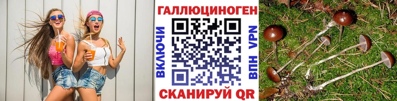 Псилоцибиновые грибы Magic Shrooms  shop формула  Ревда 